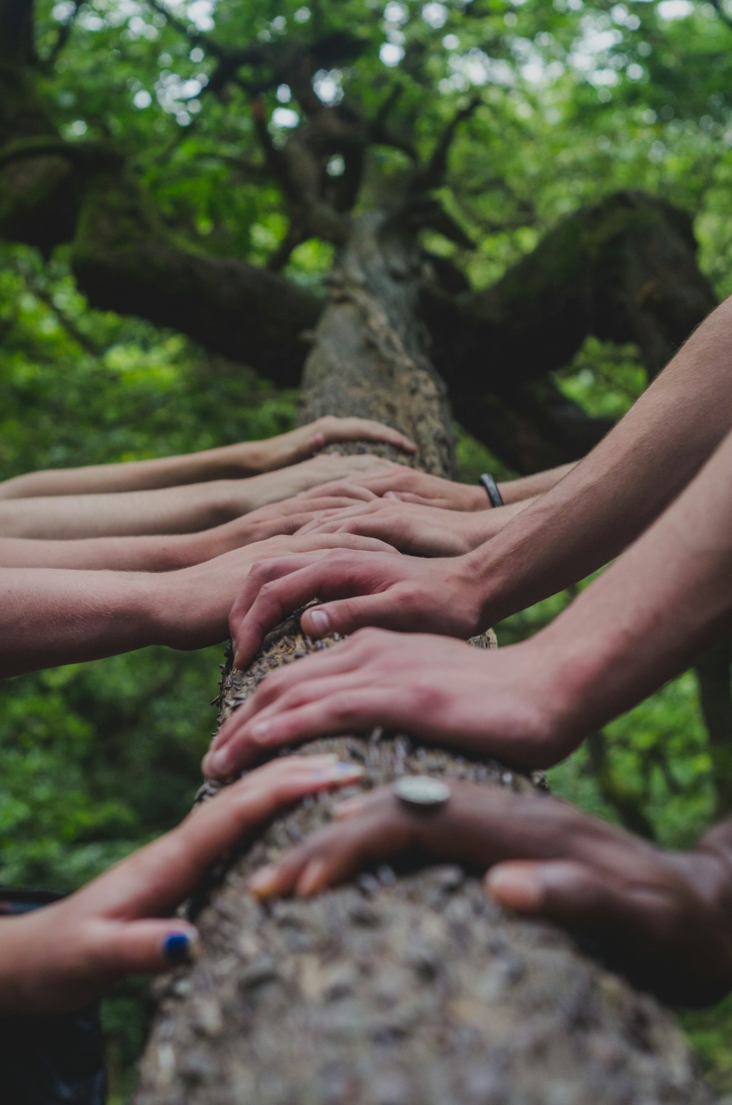 Top Strategies for Achieving Mutual Growth